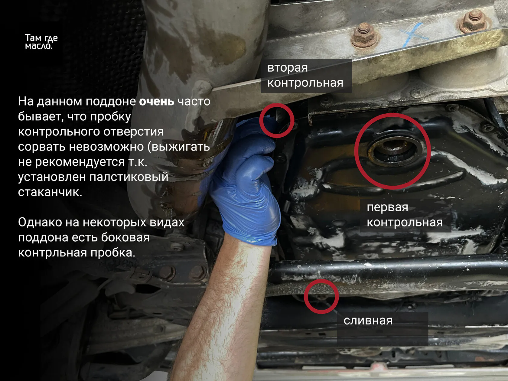 Подготовка Audi A8 к сливу масла из АКПП